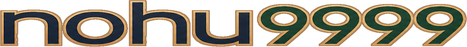 nohu9999 logo